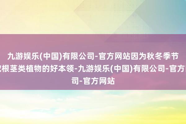 九游娱乐(中国)有限公司-官方网站因为秋冬季节是挖根茎类植物的好本领-九游娱乐(中国)有限公司-官方网站