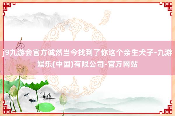 j9九游会官方诚然当今找到了你这个亲生犬子-九游娱乐(中国)有限公司-官方网站